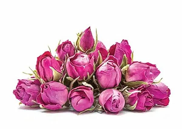 تصویر 2 از قیمت غنچه گل محمدی خشک شده + خرید باور نکردنی